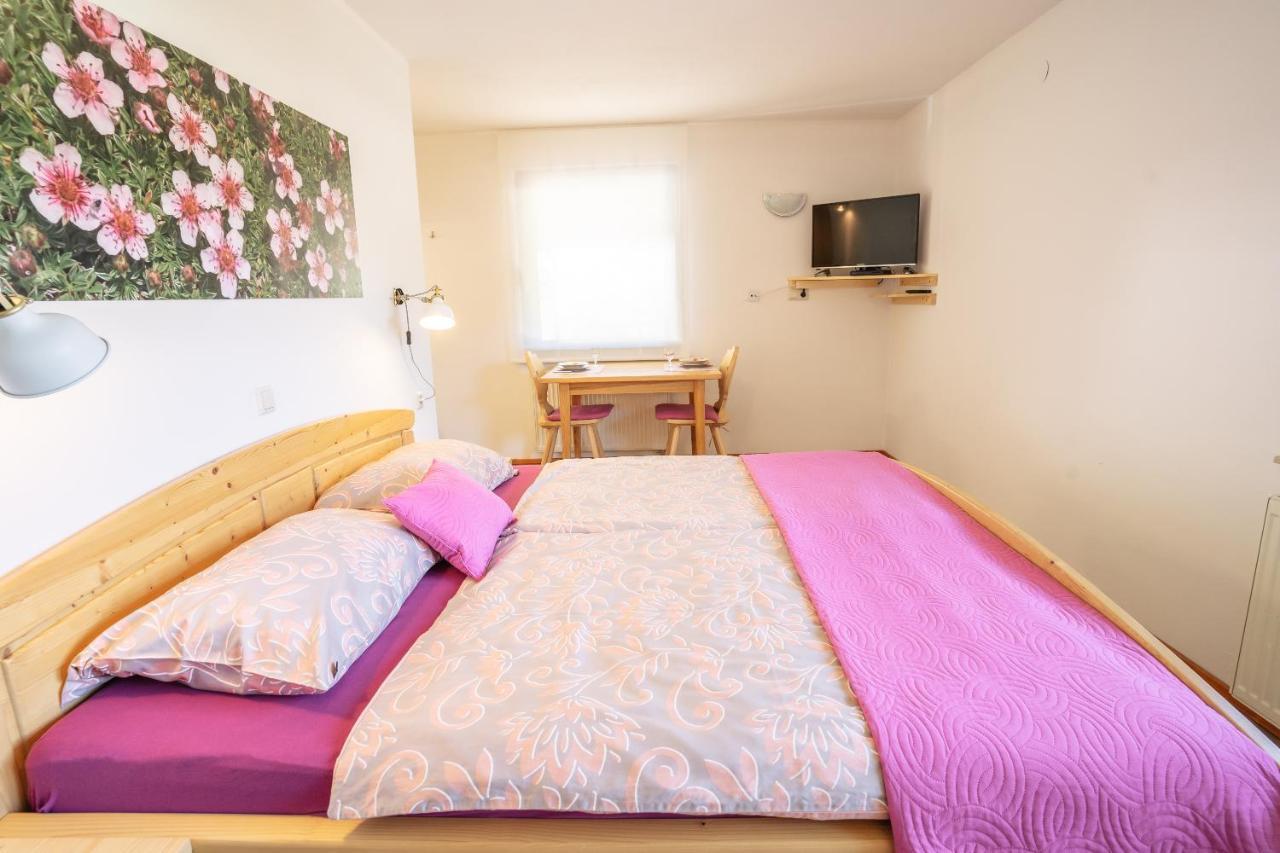 Apartmaji Alpski Cvet - Hisa Gorenc Бохин Екстериор снимка