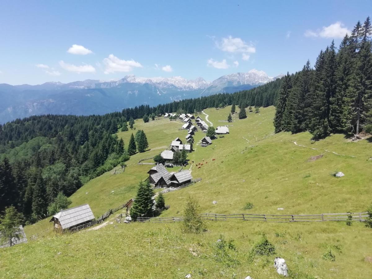 Apartmaji Alpski Cvet - Hisa Gorenc Бохин Екстериор снимка